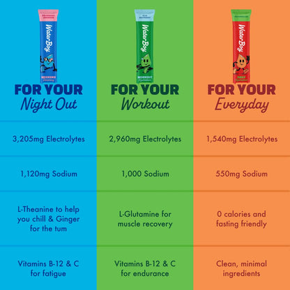 Waterboy Daily Hydration | 1,570mg Electrolyte Powder Packets | No Sugar, All Natural, Gluten Free, Zero Calories | 15 Drink Stick Mixes (Watermelon) - dailyvitalstore