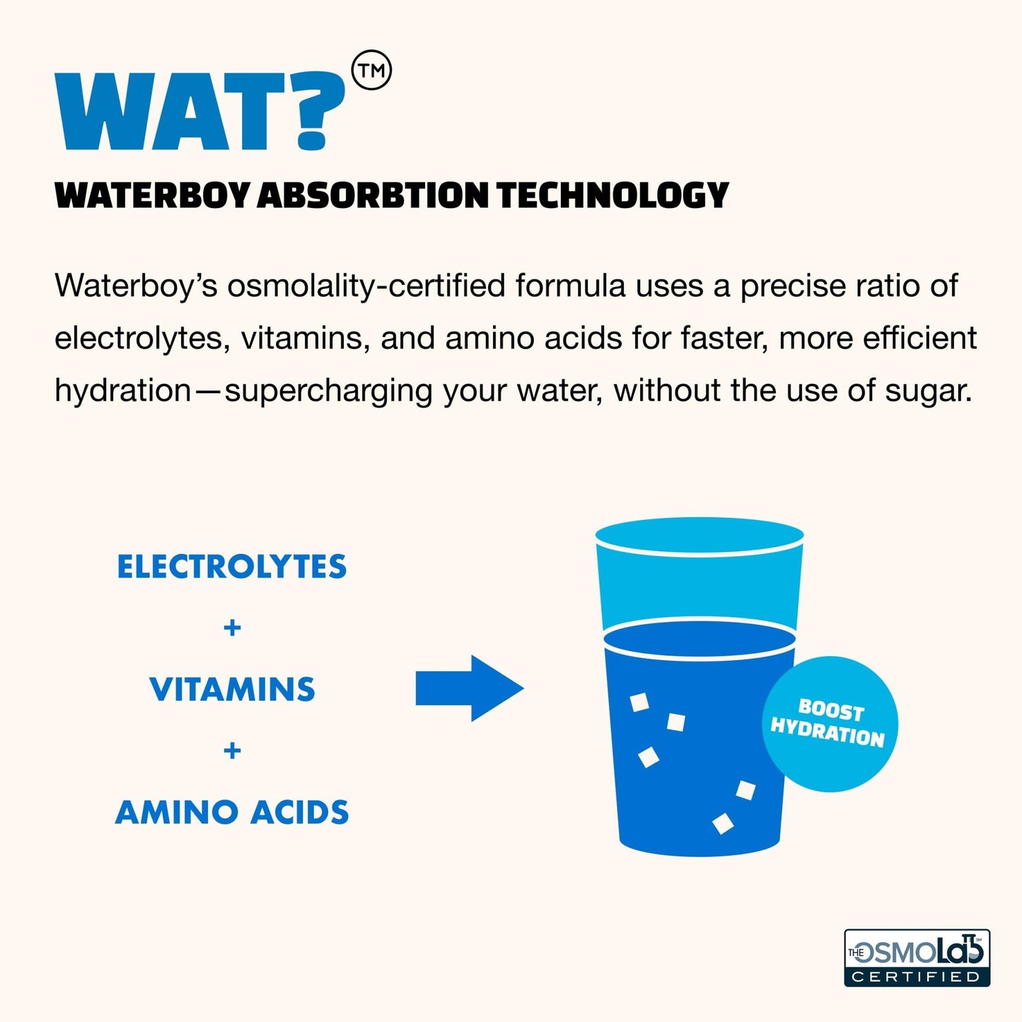 Waterboy Workout Hydration | 2,960mg Sugar Free Electrolyte Powder Packets | L-Glutamine + Vitamins | No Sugar, All Natural, Gluten Free - dailyvitalstore