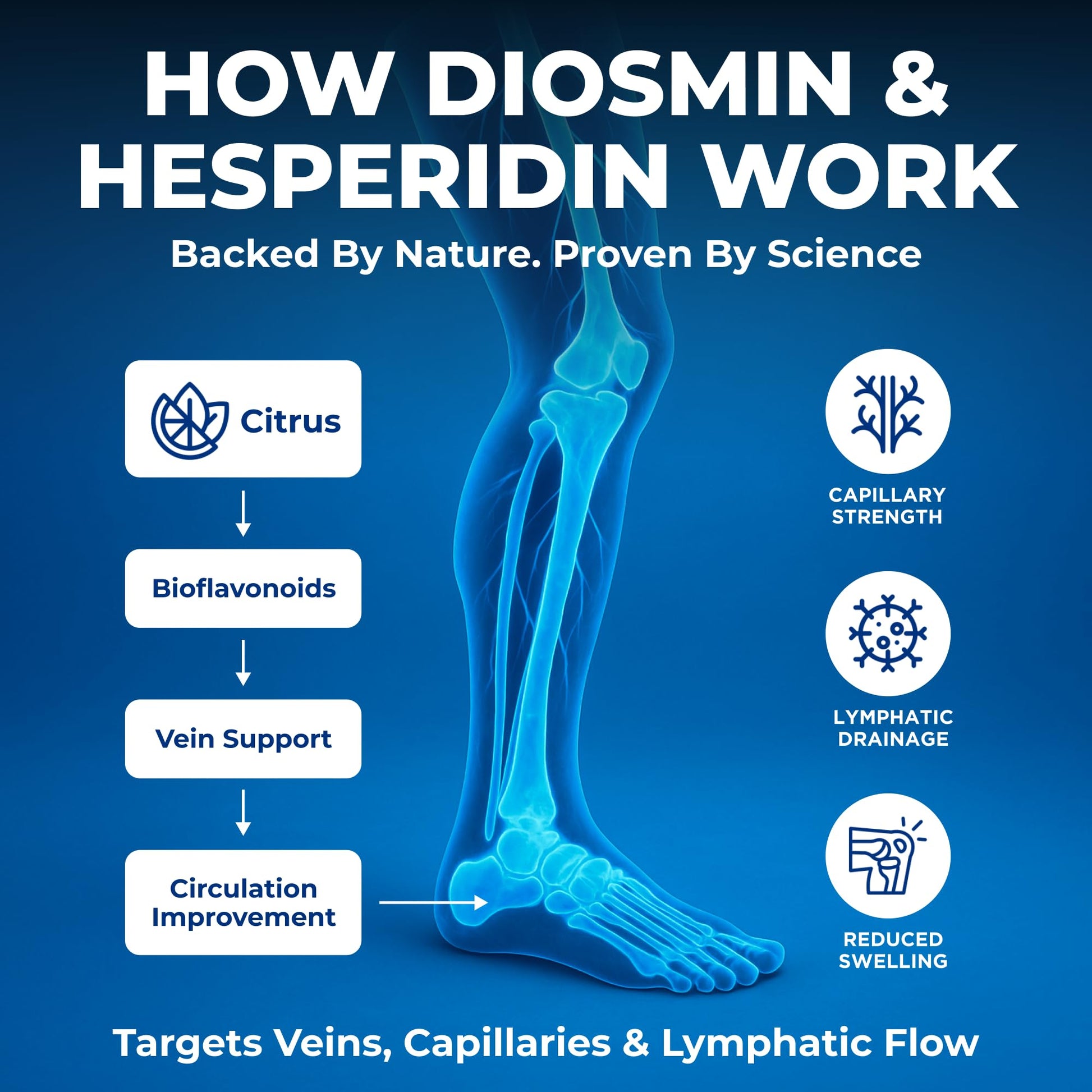 We Like Vitamins Diosmin Hesperidin 1000mg – 180 Capsules – 90 Day Supply - Diosmin and Hesperidin Supplement – Helps to Support Healthy Circulation, Veins, Capillaries, and Lymphatic Drainage - dailyvitalstore