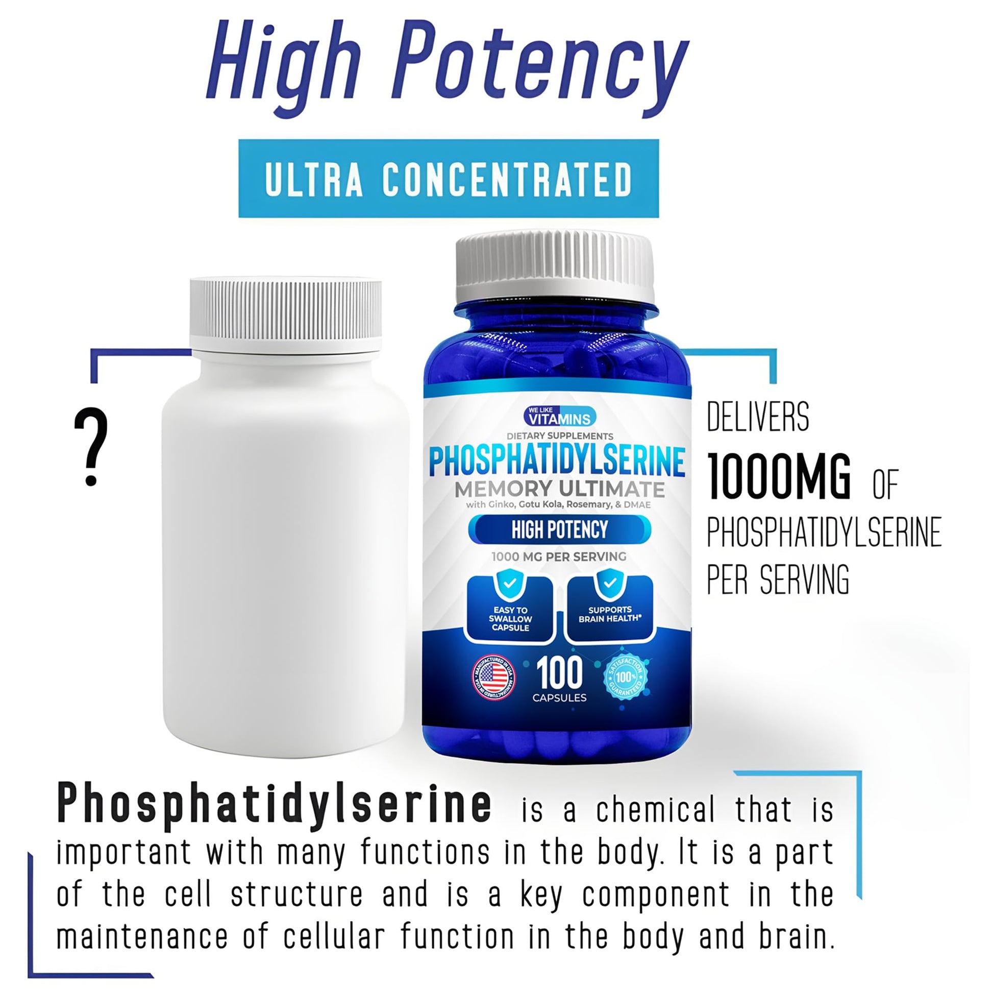 We Like Vitamins Phosphatidylserine Supplement with Gingko Biloba, Gotu Kola, DMAE - Improves Focus, Memory, Cognitive Function - Soy-Free 1000mg Memory Ultimate Complex - 100 Easy-to-Swallow Capsules - dailyvitalstore