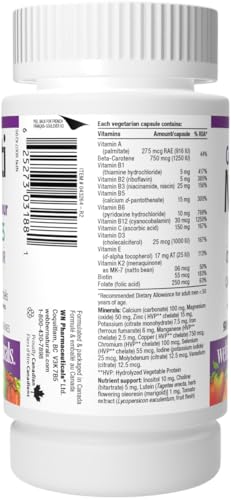 Webber Naturals Men's Most Complete Multi, 90 Vegetarian Capsules - dailyvitalstore