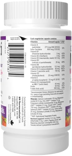 Webber Naturals Women's 50+ Most Complete Multi, 90 Vegetarian Capsules - dailyvitalstore