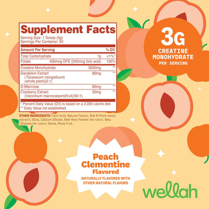 Wellah Creatine for Women - Creatine Monohydrate with Dandelion & Cranberry Extract (50 Servings, Clementine Peach) - dailyvitalstore