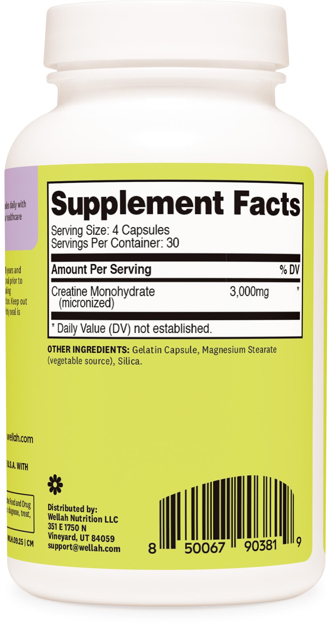 Wellah Creatine Monohydrate Capsules (3000 mg) 120 Capsules - Micronized Creatine, 30 Servings - dailyvitalstore