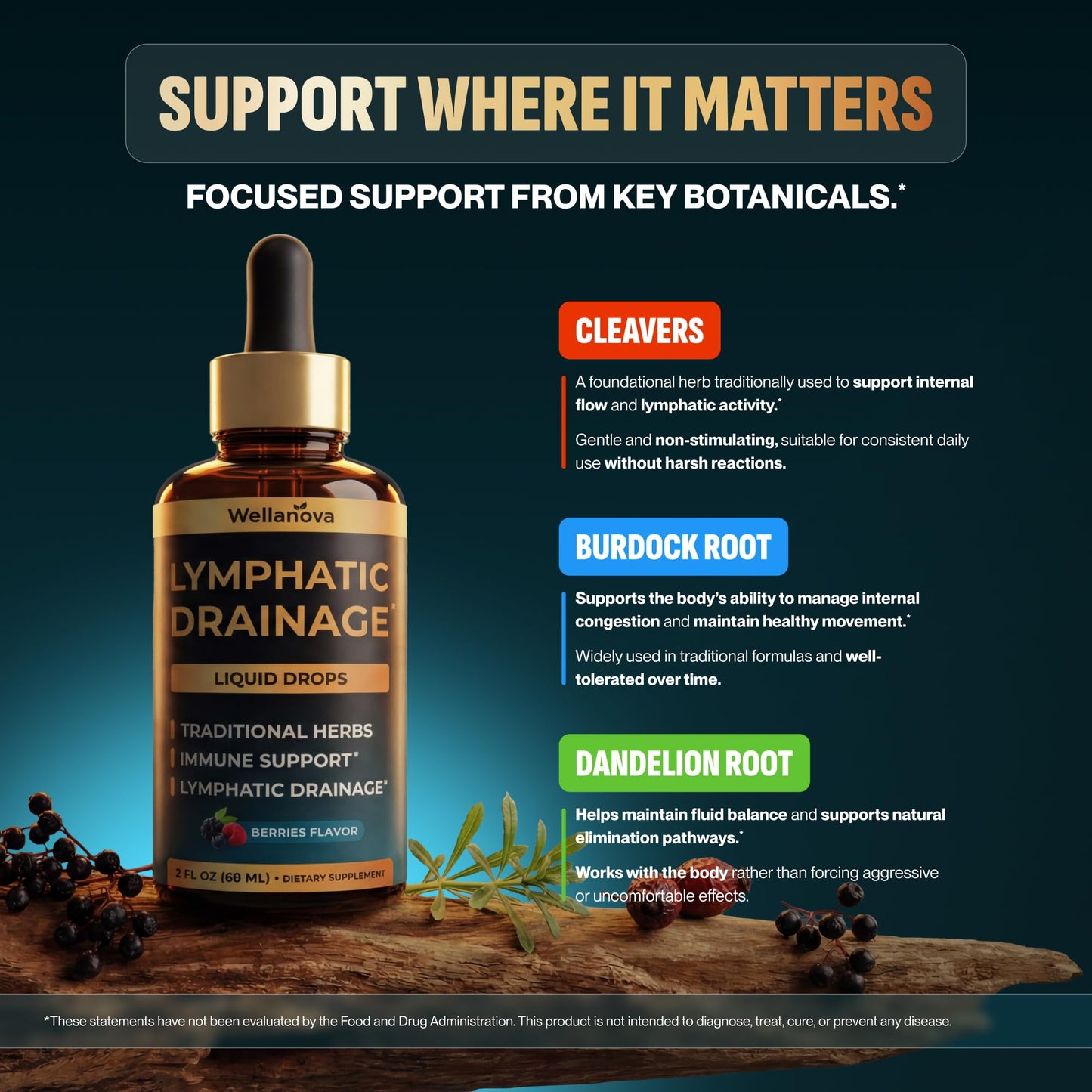 Wellanova Lymphatic Drainage Supplement - Organic Liquid Drops for Lymphatic Support & Detox - 8-in-1 Herbal Blend - Lymphatic Cleanse Complex with Burdock, Dandelion, Elderberry - 2 fl oz - dailyvitalstore