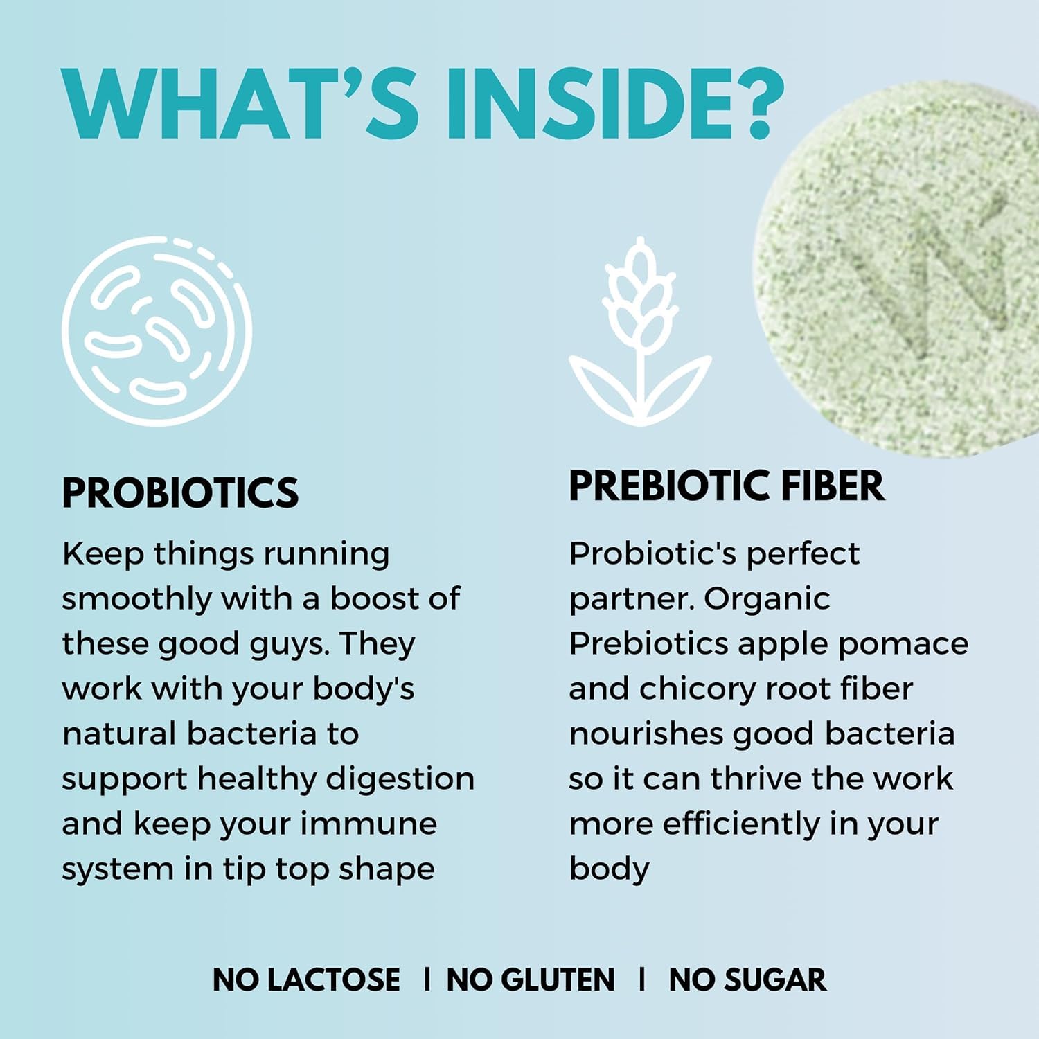 Wellbeing Nutrition Daily Probiotics + Prebiotics | Improve Metabolism, Acidity Relief, Digestion & Gut Health | 18 Billion CFU Organic Probiotics Supplement - dailyvitalstore