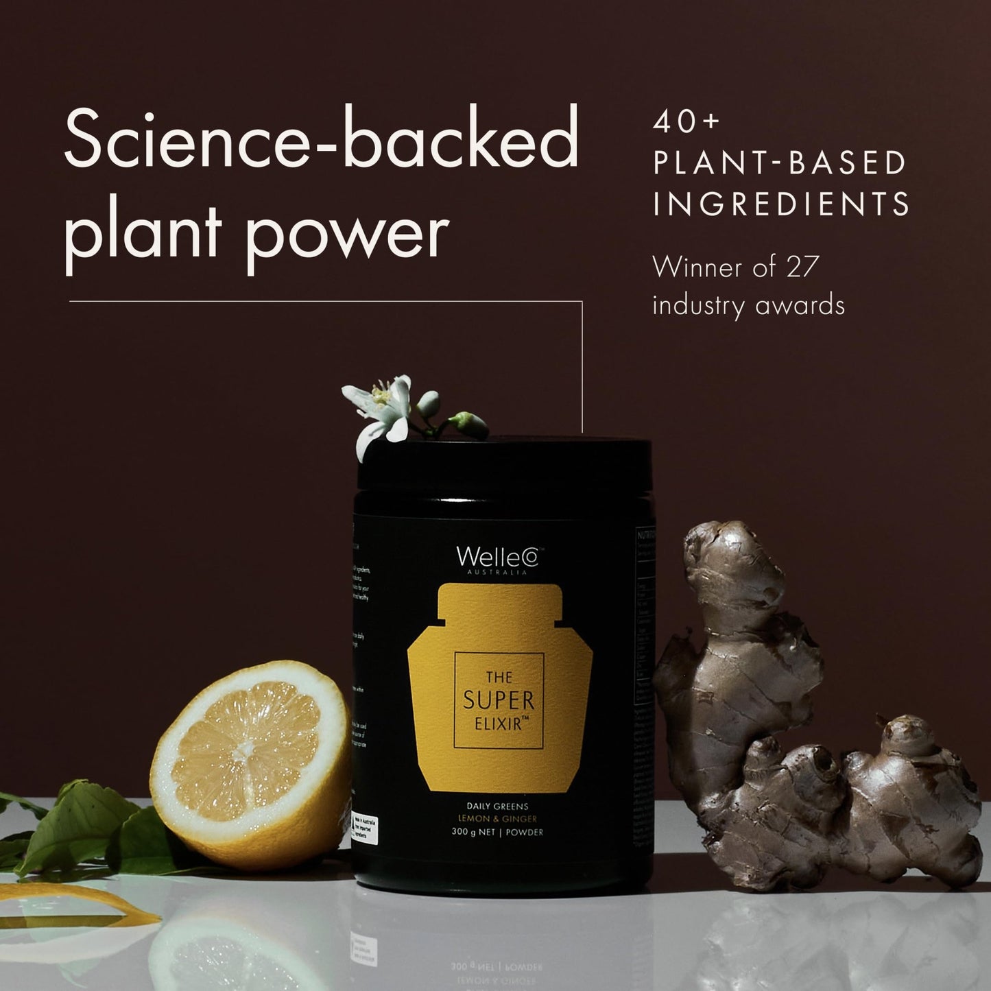 WelleCo The Super Elixir Daily Greens Powder, Probiotic Drink Mix with Whole Foods, Gluten Free, Vegan Gut Health Powder, Energy, Immunity, Healthy Skin, Hair & Nails (300g, Lemon Ginger) - dailyvitalstore