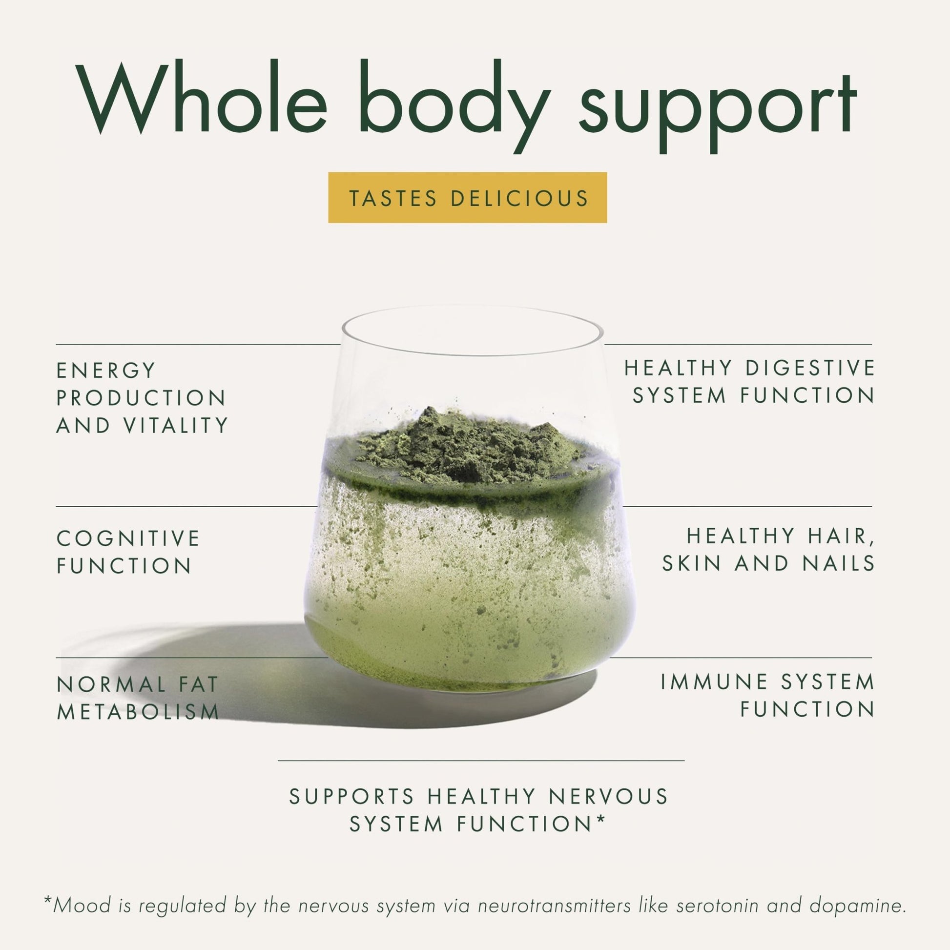 WelleCo The Super Elixir Daily Greens Powder, Probiotic Drink Mix with Whole Foods, Gluten Free, Vegan Gut Health Powder, Energy, Immunity, Healthy Skin, Hair & Nails (300g, Lemon Ginger) - dailyvitalstore