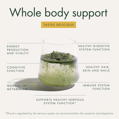 WelleCo The Super Elixir Daily Greens Powder, Probiotic Drink Mix with Whole Foods, Gluten Free, Vegan Gut Health Powder, Energy, Immunity, Healthy Skin, Hair & Nails (300g, Lemon Ginger) - dailyvitalstore