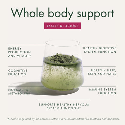 WelleCo The Super Elixir Daily Greens Powder, Probiotic Drink Mix with Whole Foods, Gluten Free, Vegan Gut Health Powder, Energy, Immunity, Healthy Skin, Hair & Nails (300g, Mixed Berry) - dailyvitalstore