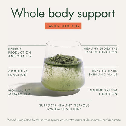 WelleCo The Super Elixir Daily Greens Powder, Probiotic Drink Mix with Whole Foods, Gluten Free, Vegan Gut Health Powder, Energy, Immunity, Healthy Skin, Hair & Nails (Jar, Blood Orange) - dailyvitalstore