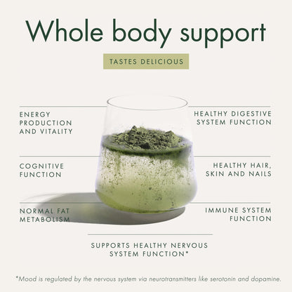 WelleCo The Super Elixir, Daily Greens Powder with Probiotics, Superfoods & Whole Foods, Unflavored Drink Mix for Gut Health, Immunity, Energy, Skin & Hair, 10.5oz Jar - dailyvitalstore