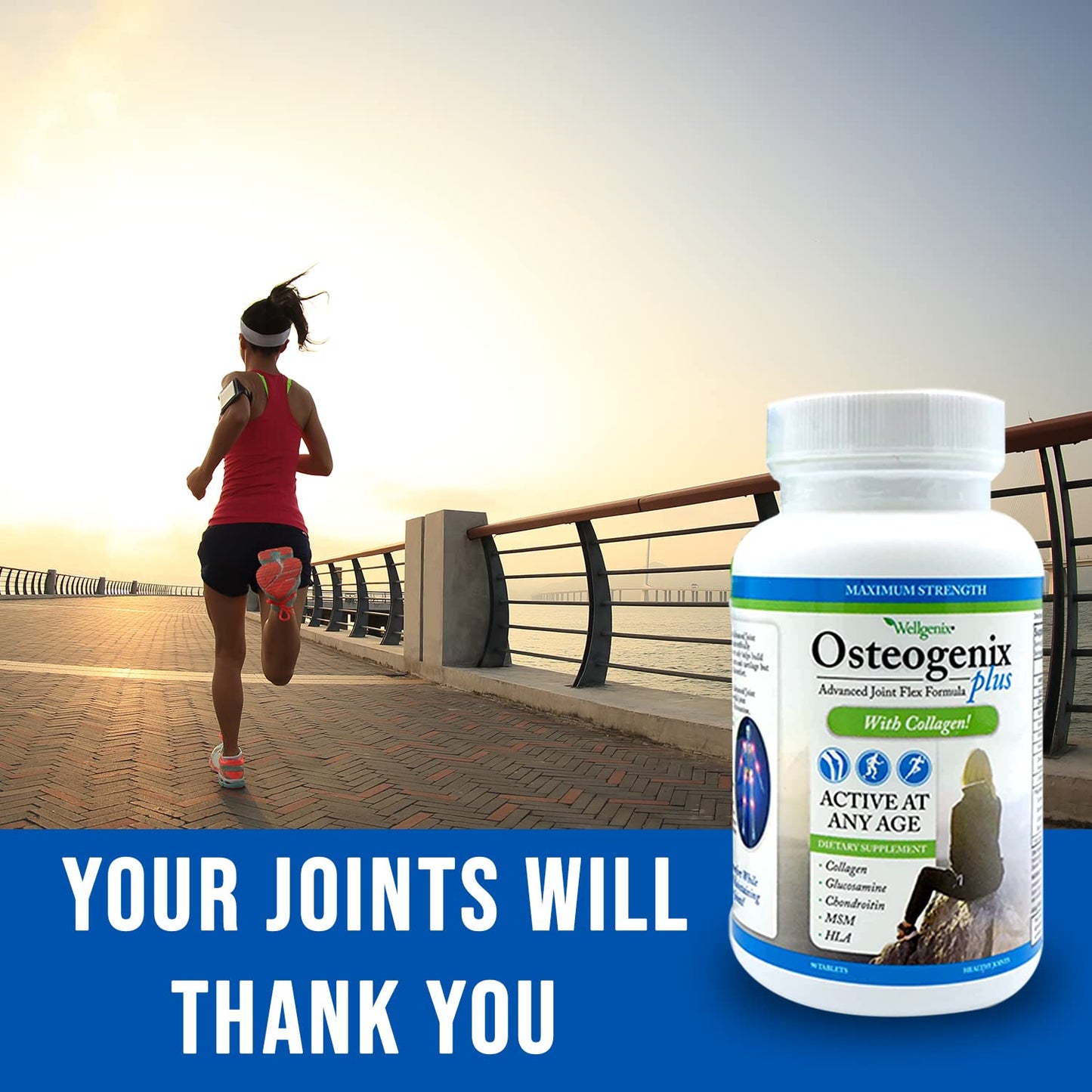 Wellgenix Osteogenix Advanced Joint Flex Formula (90 Ct) - Knee Supplement with Collagen II, Glucosamine, Chondroitin, MSM & HLA - Lubrication & Discomfort Support Tablets for Men & Women - dailyvitalstore