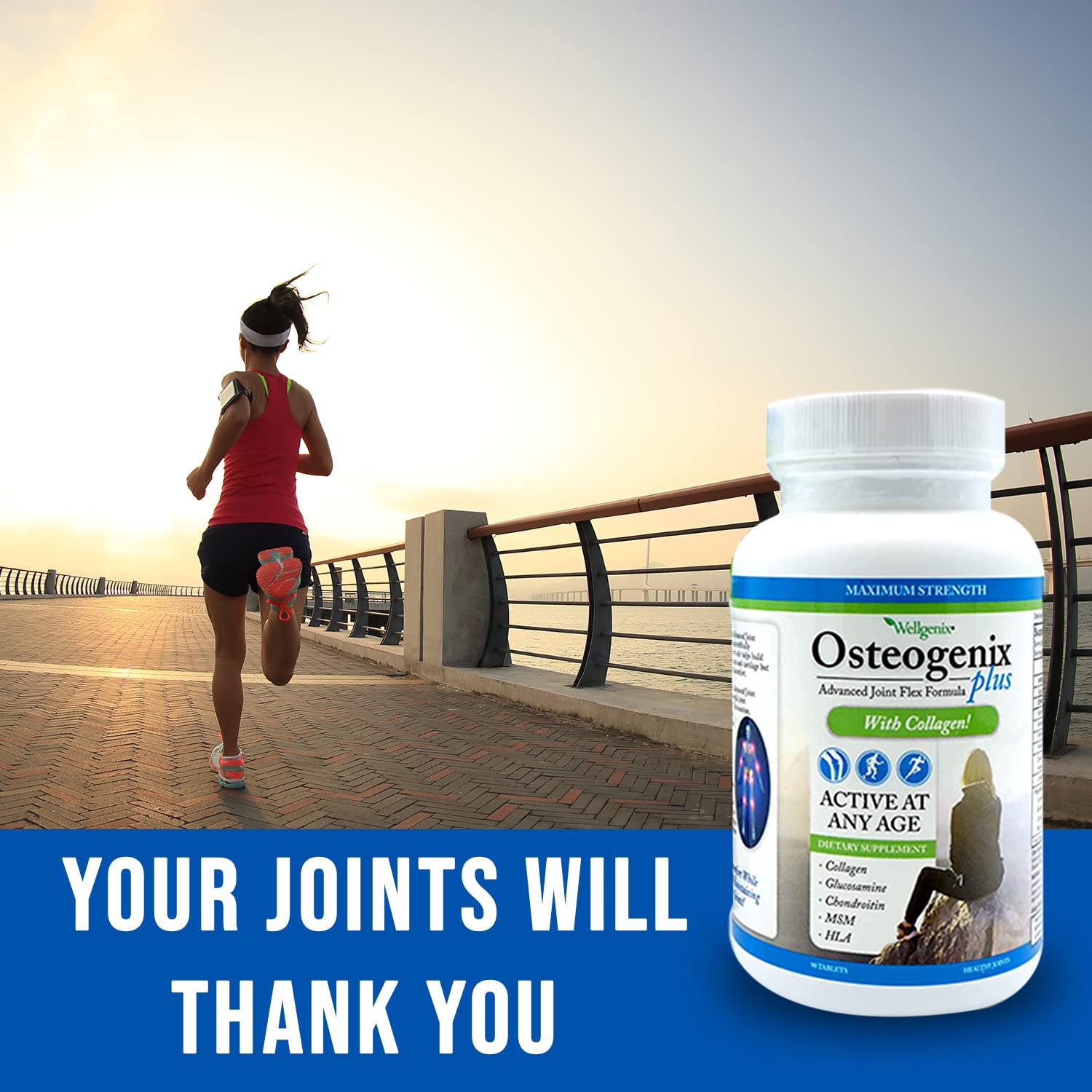 Wellgenix Osteogenix Advanced Joint Flex Formula (90 Ct) - Knee Supplement with Collagen II, Glucosamine, Chondroitin, MSM & HLA - Lubrication & Discomfort Support Tablets for Men & Women - dailyvitalstore