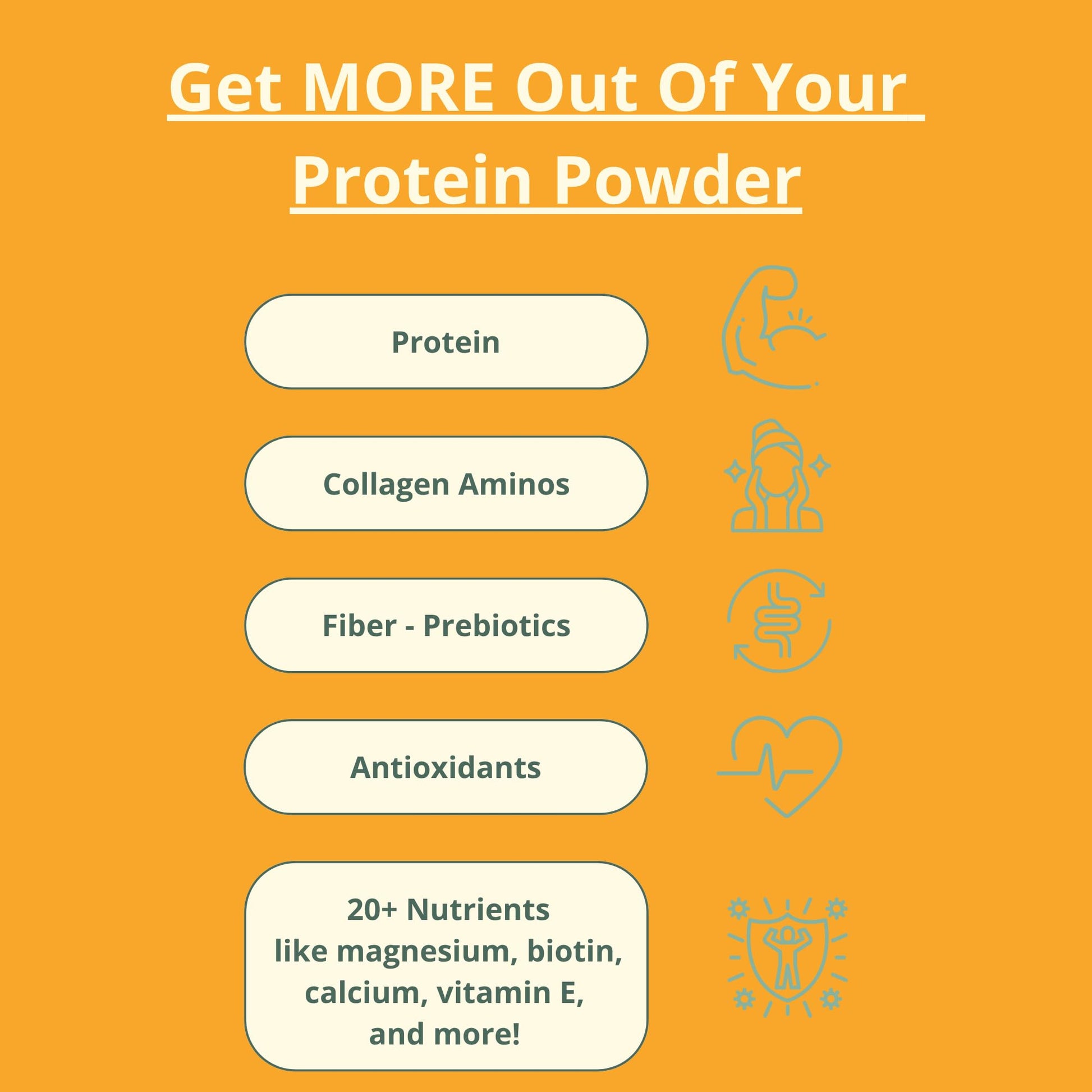 wellious Almond Protein Powder (Unflavored, Unsweetened) - 18 Grams of Pure Healthiest Vegan Protein for Women & Men | Soy-Free & Gut Friendly Protein - dailyvitalstore
