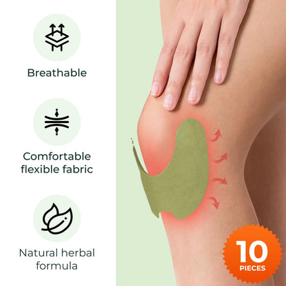 Wellnee Knee & Joint Wellness Bundle – Herbal Patches (10 pcs) & Support Capsules (90 servings) - dailyvitalstore