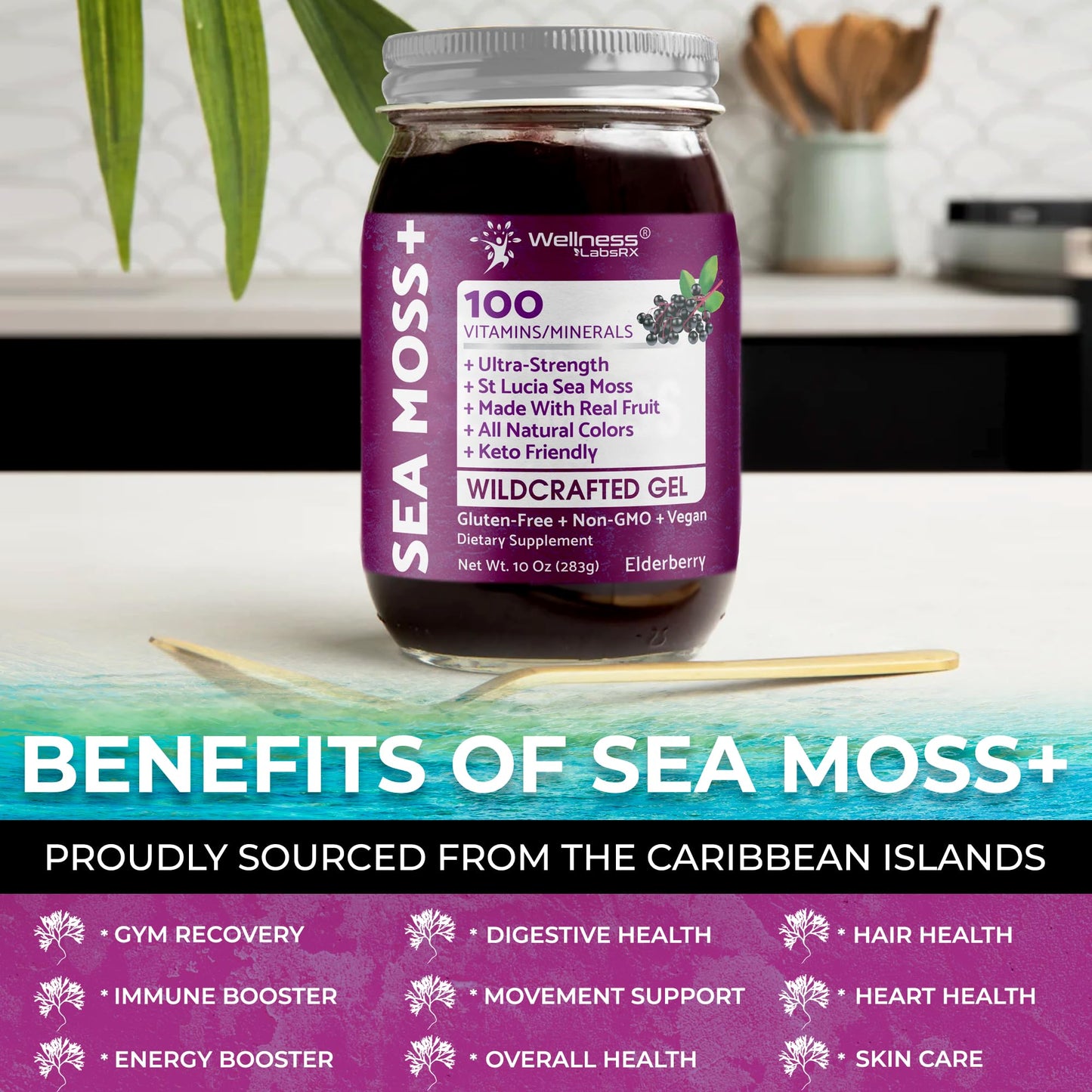 WELLNESS LABSRX Irish Sea Moss Gel Raw - Wildcrafted Superfood Seamoss Gel - Elderberry Flavor, Vitamin and Mineral-Rich from Pristine Caribbean Waters, Immune and Digestive Health Support - 10 oz. - dailyvitalstore