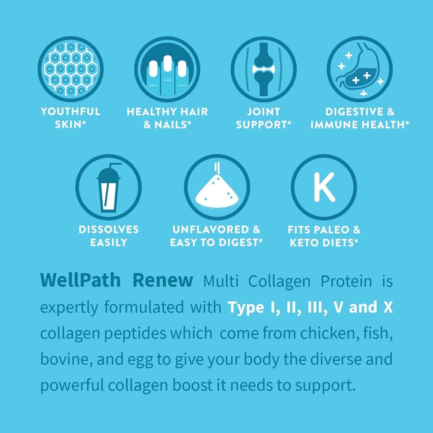 WellPath Multi Collagen Peptides Powder for Women | Renew Multi Collagen Protein for Hair, Nails, Skin | Hydrolyzed Bovine, Marine, & Chicken Sources | Types I, II, III, V, X | 11 oz | 40 Servings - dailyvitalstore