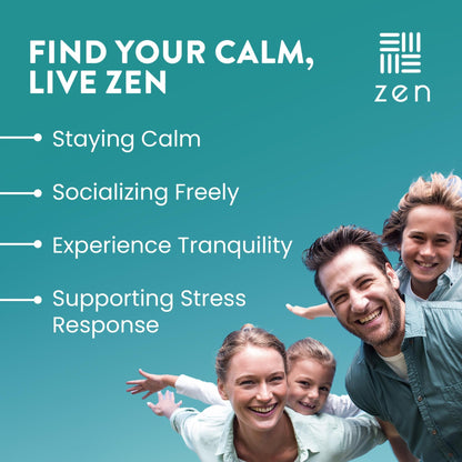 WellPath Zen Stress Relief Supplement + Mood Support | Calm, Stress & Energy Support | Ashwagandha Root, Rhodiola Rosea, L-Theanine, Lemon Balm | Herbal Capsules, 60 Ct - dailyvitalstore