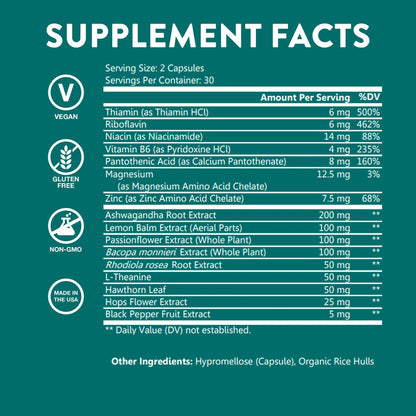 WellPath Zen Stress Relief Supplement + Mood Support | Calm, Stress & Energy Support | Ashwagandha Root, Rhodiola Rosea, L-Theanine, Lemon Balm | Herbal Capsules, 60 Ct - dailyvitalstore