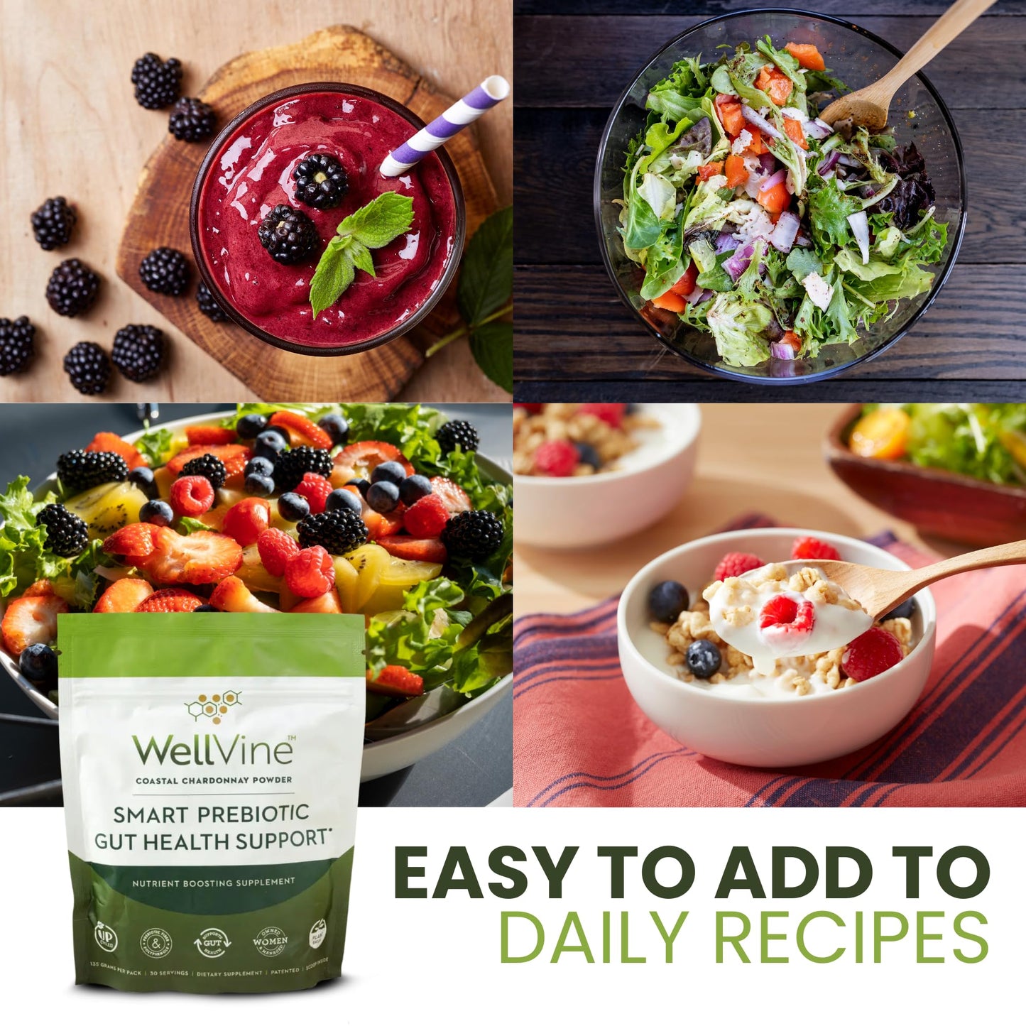 WellVine Premium Smart Prebiotic Gut Health Supplement Powder for Men & Women | Digestive Support & Gut Health With 100% Upcycled Chardonnay Grapes | Plant-Based - dailyvitalstore