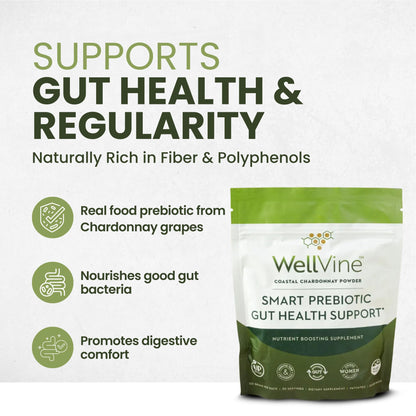 WellVine Premium Smart Prebiotic Gut Health Supplement Powder for Men & Women | Digestive Support & Gut Health With 100% Upcycled Chardonnay Grapes | Plant-Based - dailyvitalstore