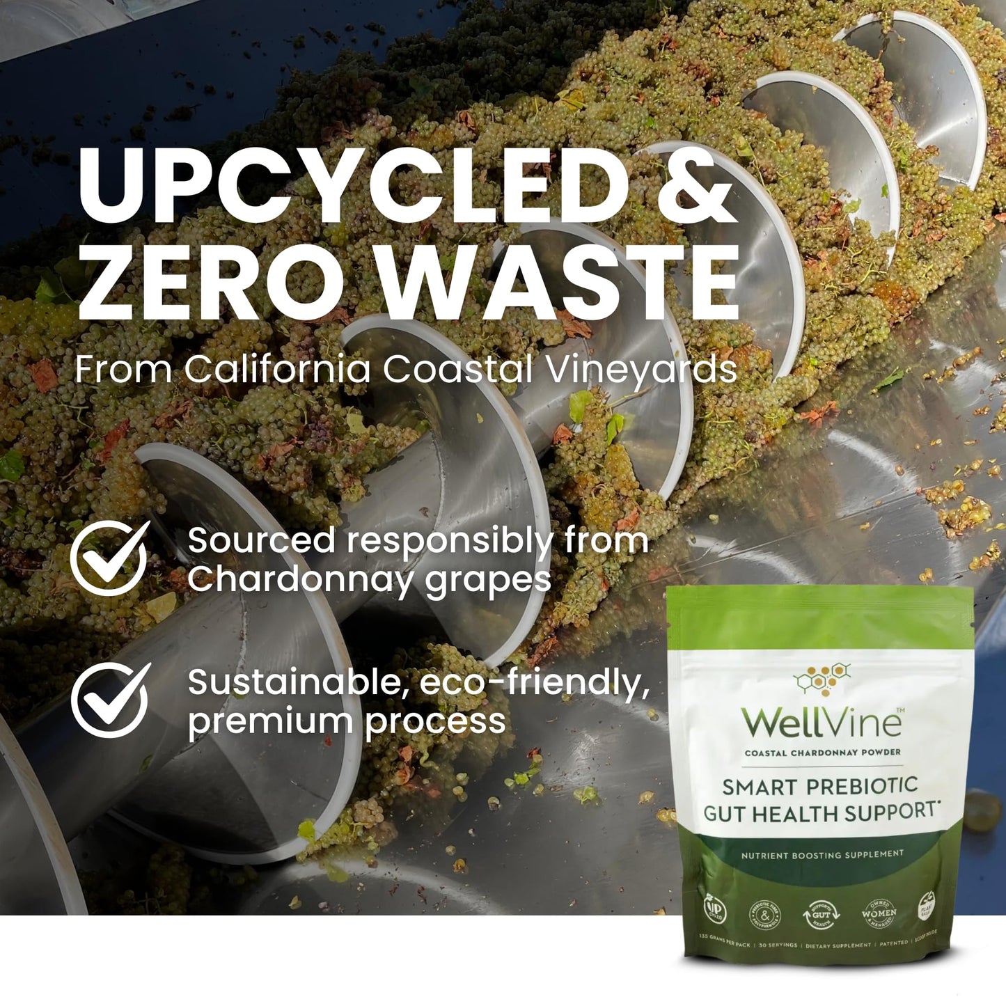 WellVine Premium Smart Prebiotic Gut Health Supplement Powder for Men & Women | Digestive Support & Gut Health With 100% Upcycled Chardonnay Grapes | Plant-Based - dailyvitalstore