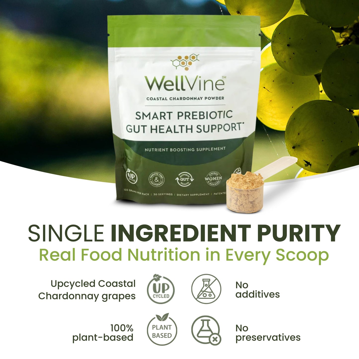 WellVine Premium Smart Prebiotic Gut Health Supplement Powder for Men & Women | Digestive Support & Gut Health With 100% Upcycled Chardonnay Grapes | Plant-Based - dailyvitalstore