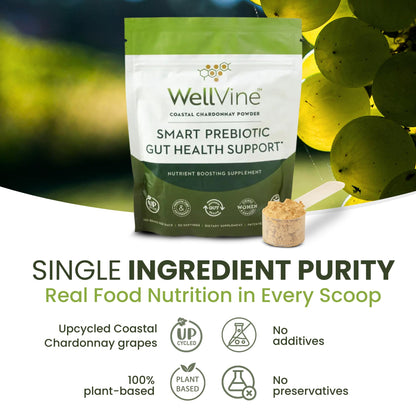 WellVine Premium Smart Prebiotic Gut Health Supplement Powder for Men & Women | Digestive Support & Gut Health With 100% Upcycled Chardonnay Grapes | Plant-Based - dailyvitalstore