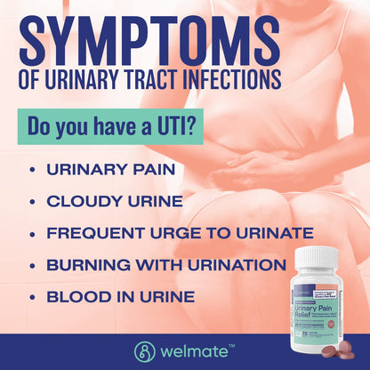 WELMATE Urinary Pain UTI Relief Maximum Strength (Phenazopyridine HCL) - Improve Urinary Tract Health & Bladder Control, Urgency, & Discomfort | Over-The-Counter Medication for Men & Women (72 Pills) - dailyvitalstore