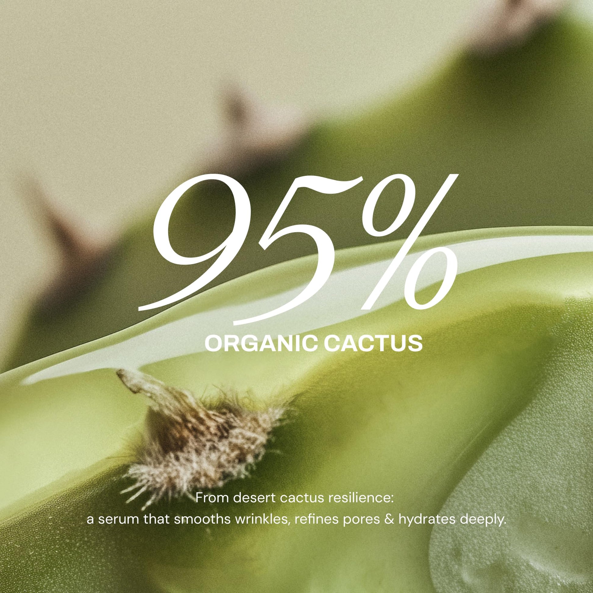Whamisa Organic Cactus Magic Serum, Anti-Wrinkle & Brightening, Renewing Care, Skin Barrier Support, Fermented Ingredients, Hydrating, Facial Ampoule, Pore Refining, Korean Skin Care (32ml) - dailyvitalstore