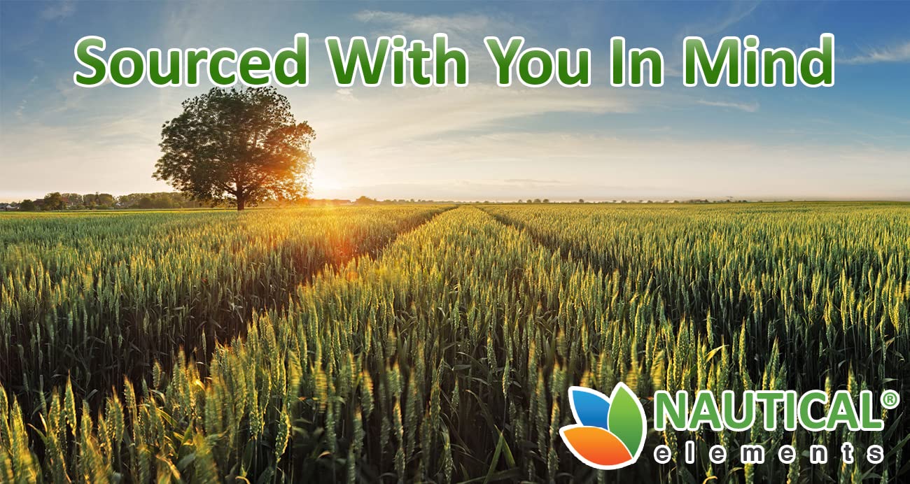 Wheatgrass Powder - USDA Certified Organic Wheat Grass Powder That Is Rich In Essential Amino Acids, Chlorophyll, Antioxidants, Fatty Acids, Minerals & Vitamins - US Grown - Vegan & Non-GMO Superfoods - dailyvitalstore