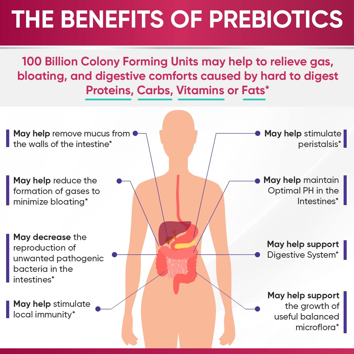 Wholesome Wellness Dr. Formulated Raw Probiotics for Women 100 Billion CFUs Capsules with Prebiotics, Digestive Enzymes, Approved for Adults, Shelf Stable Supplement - dailyvitalstore