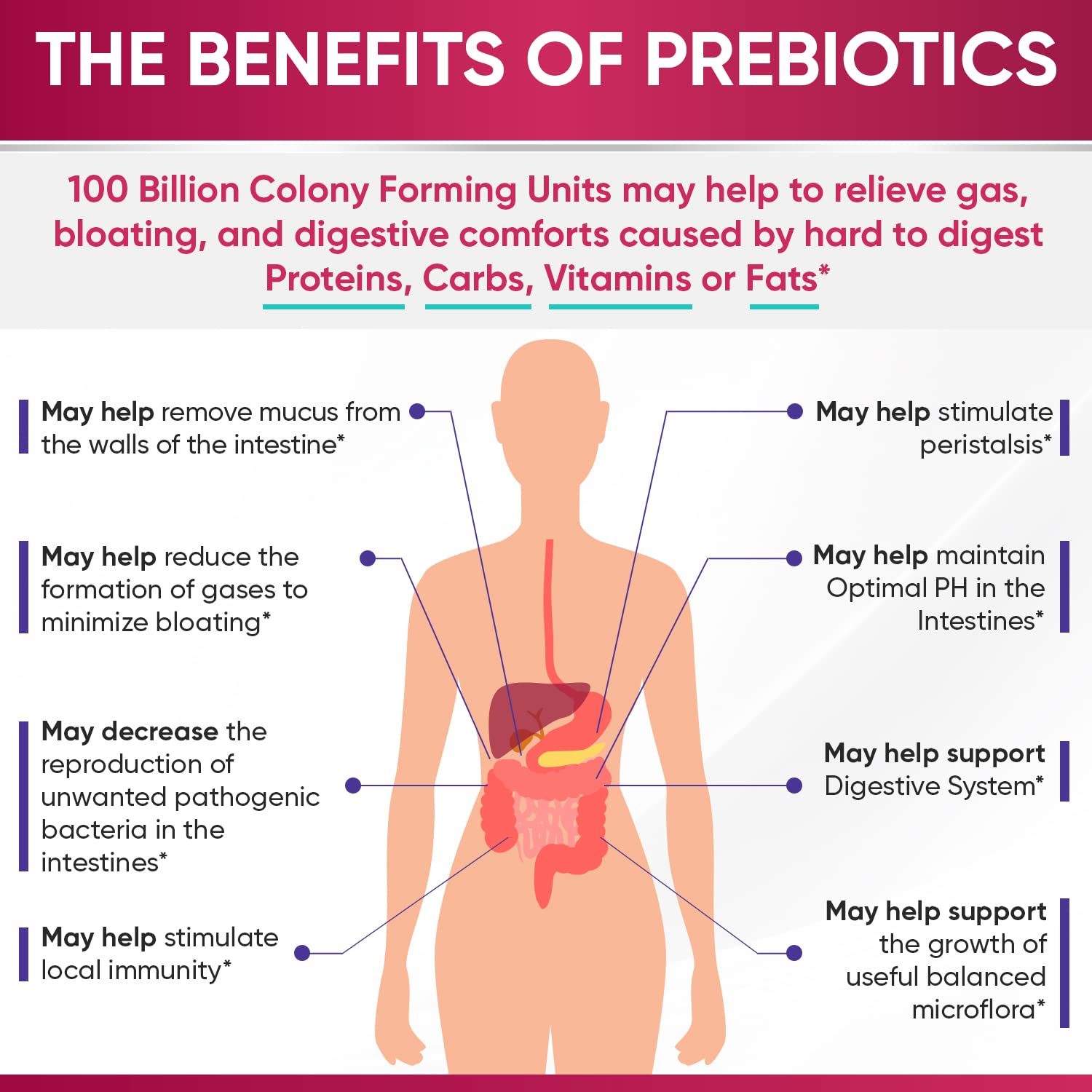 Wholesome Wellness Dr. Formulated Raw Probiotics for Women 100 Billion CFUs Capsules with Prebiotics, Digestive Enzymes, Approved for Adults, Shelf Stable Supplement - dailyvitalstore
