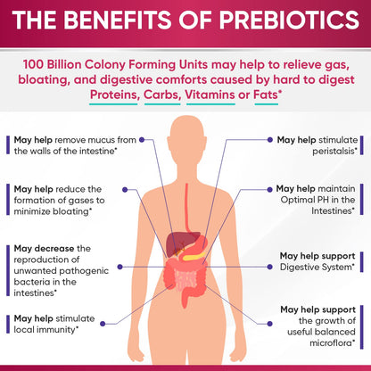 Wholesome Wellness Dr. Formulated Raw Probiotics for Women 100 Billion CFUs Capsules with Prebiotics, Digestive Enzymes, Approved for Adults, Shelf Stable Supplement - dailyvitalstore