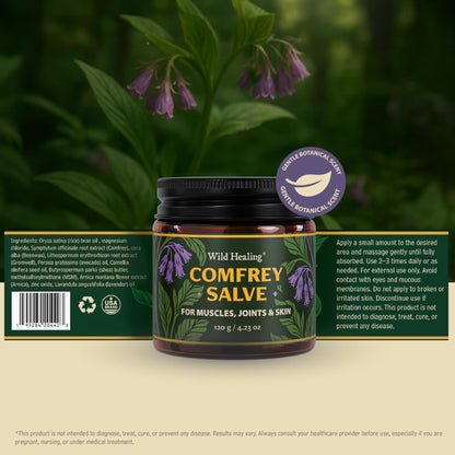 Wild Healing Comfrey Salve – Concentrated Herbal Balm with Arnica, Magnesium & MSM – Soothing Botanical Cream for Joints, Muscles & Dry Skin – 4.23 oz - dailyvitalstore