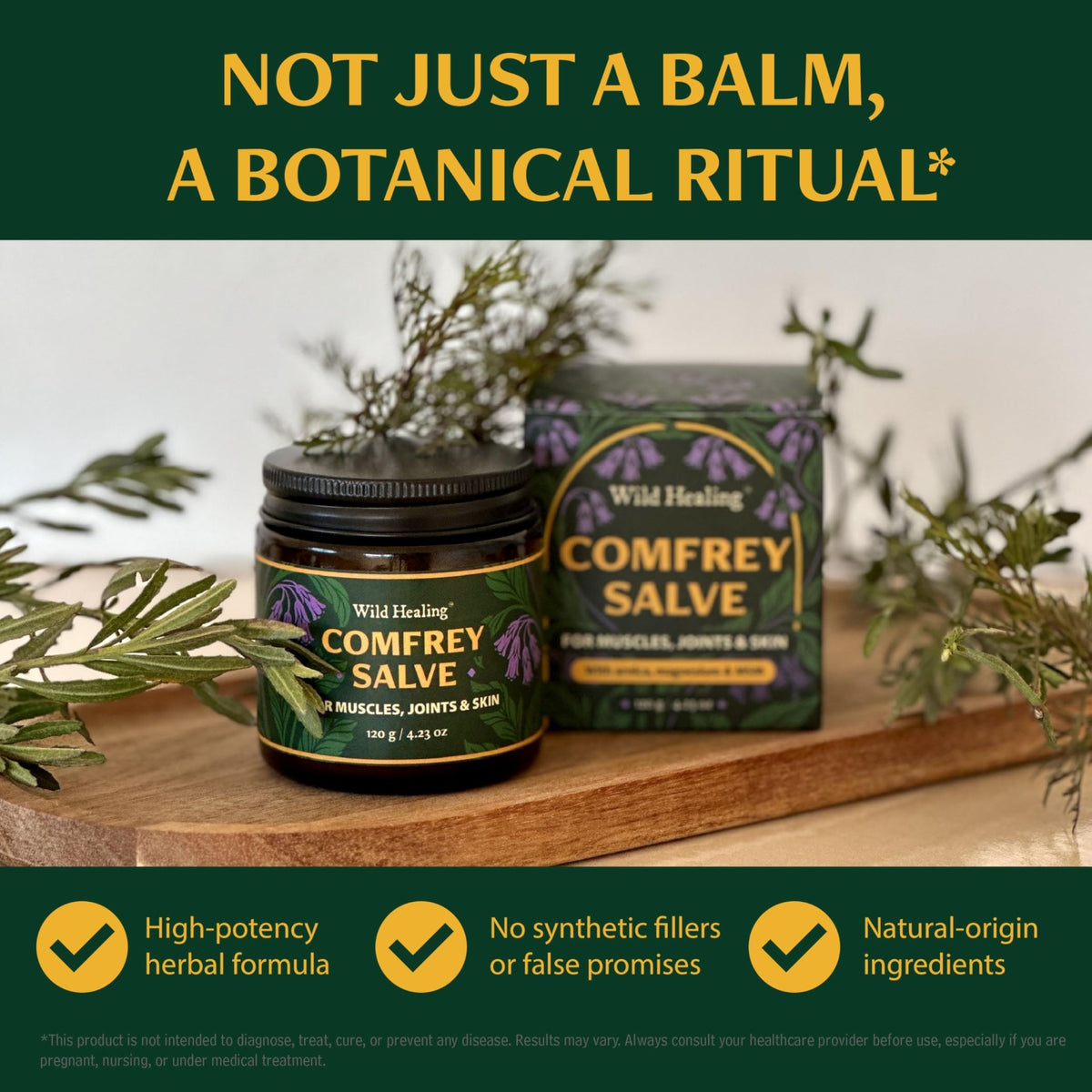 Wild Healing Comfrey Salve – Concentrated Herbal Balm with Arnica, Magnesium & MSM – Soothing Botanical Cream for Joints, Muscles & Dry Skin – 4.23 oz - dailyvitalstore