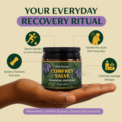 Wild Healing Comfrey Salve – Concentrated Herbal Balm with Arnica, Magnesium & MSM – Soothing Botanical Cream for Joints, Muscles & Dry Skin – 4.23 oz - dailyvitalstore