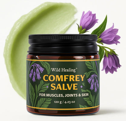 Wild Healing Comfrey Salve – Concentrated Herbal Balm with Arnica, Magnesium & MSM – Soothing Botanical Cream for Joints, Muscles & Dry Skin – 4.23 oz - dailyvitalstore