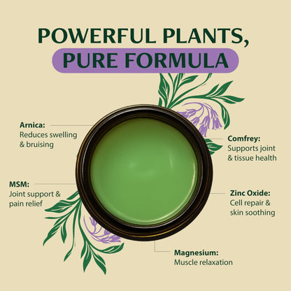 Wild Healing Comfrey Salve – Concentrated Herbal Balm with Arnica, Magnesium & MSM – Soothing Botanical Cream for Joints, Muscles & Dry Skin – 4.23 oz - dailyvitalstore