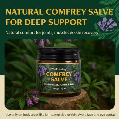 Wild Healing Comfrey Salve – Concentrated Herbal Balm with Arnica, Magnesium & MSM – Soothing Botanical Cream for Joints, Muscles & Dry Skin – 4.23 oz - dailyvitalstore