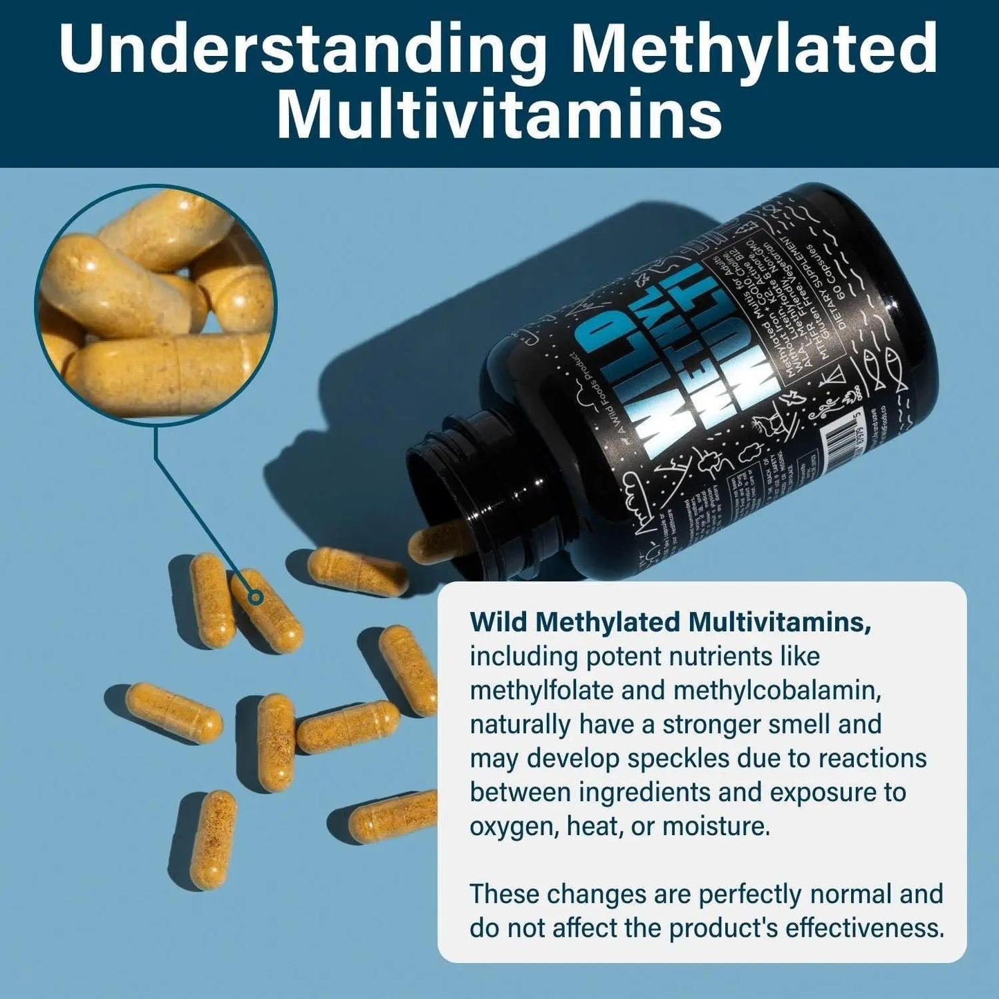 Wild Methylated Multivitamin for Women & Men | Daily Multi Vitamin | MTHFR Supplement Without Iron | Methylated B12, Folate, Vitamin C, A, K2, D, E - dailyvitalstore