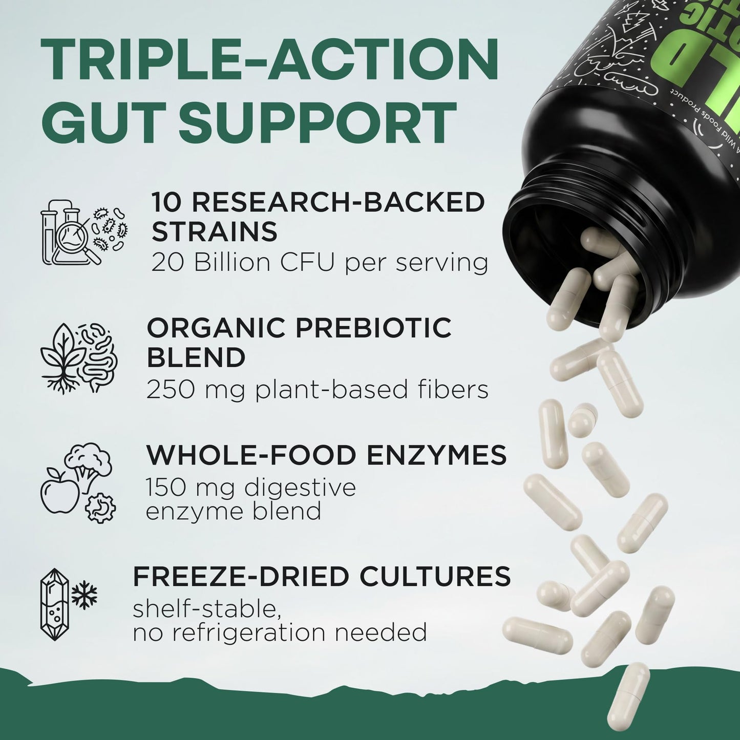 Wild Prebiotics and Probiotics with Digestive Enzymes | 20 Billion CFU - 10 Strains for Women & Men | Support Gut Health & Digestion Supplements | Non-GMO Prebiotic Fiber | 30 Capsules - dailyvitalstore