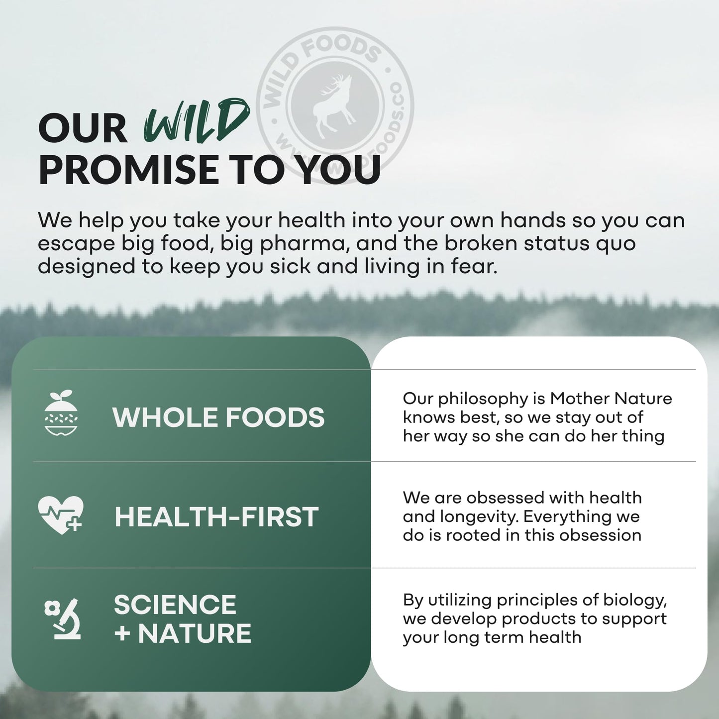 Wild Prebiotics and Probiotics with Digestive Enzymes | 20 Billion CFU - 10 Strains for Women & Men | Support Gut Health & Digestion Supplements | Non-GMO Prebiotic Fiber | 30 Capsules - dailyvitalstore