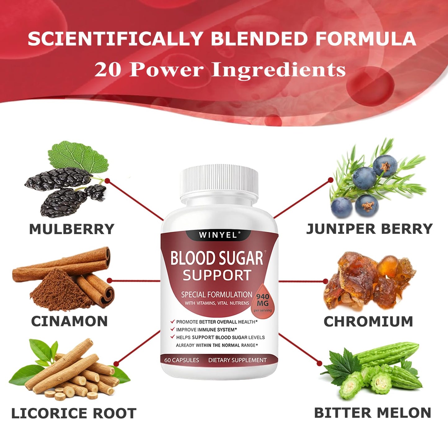 WINYEL Blood Sugar Complex Supplement - with Cinnamon, Bitter Melon, Chromium, Mulberry, Alpha Lipoic Acid, 60 Capsules - dailyvitalstore