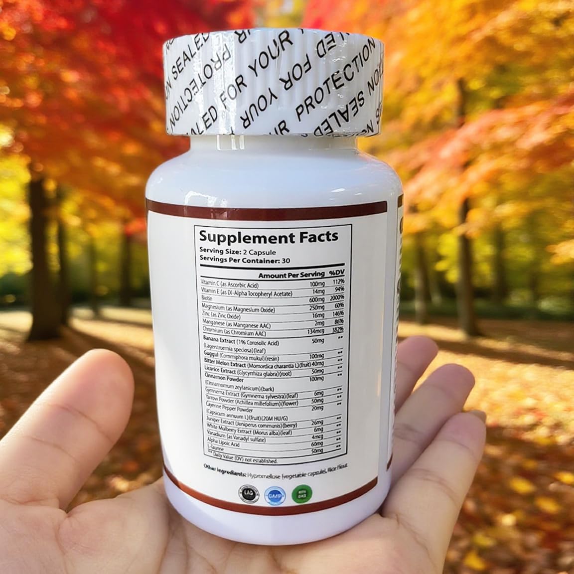 WINYEL Blood Sugar Complex Supplement - with Cinnamon, Bitter Melon, Chromium, Mulberry, Alpha Lipoic Acid, 60 Capsules - dailyvitalstore