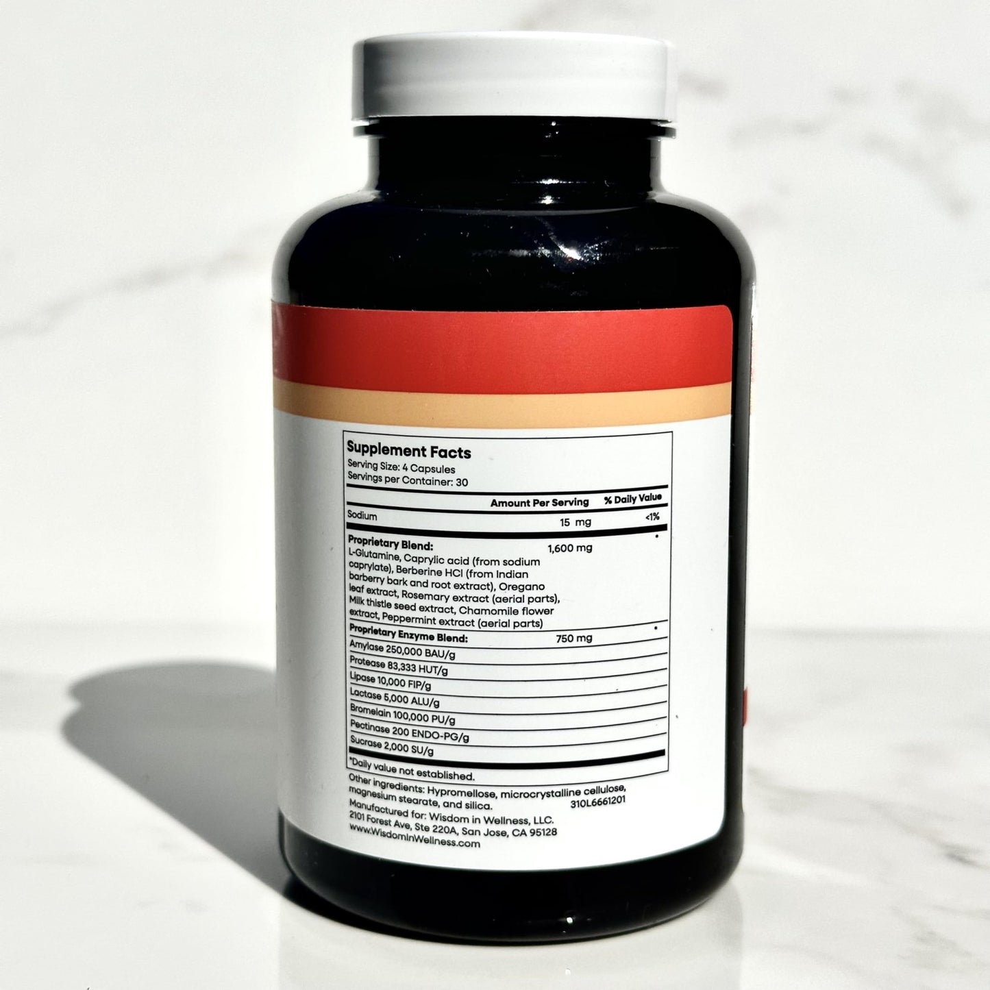 Wisdom In Wellness Gut Optimyze - 120 Digestive Health Capsules - Vitamins & Probiotics for Gut Health - Complete for Men & Women - Digestive Gut Health Pills - Healthy Gut Probiotics - dailyvitalstore