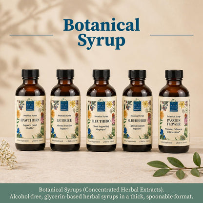 Wise Woman Herbals Hawthorn Botanical Syrup, Alcohol-Free Hawthorn Berry Solid Extract 4:1, Promotes Healthy Circulation, Antioxidant Protection, Herbal Cardiovascular Support, 4 Fl Oz - dailyvitalstore