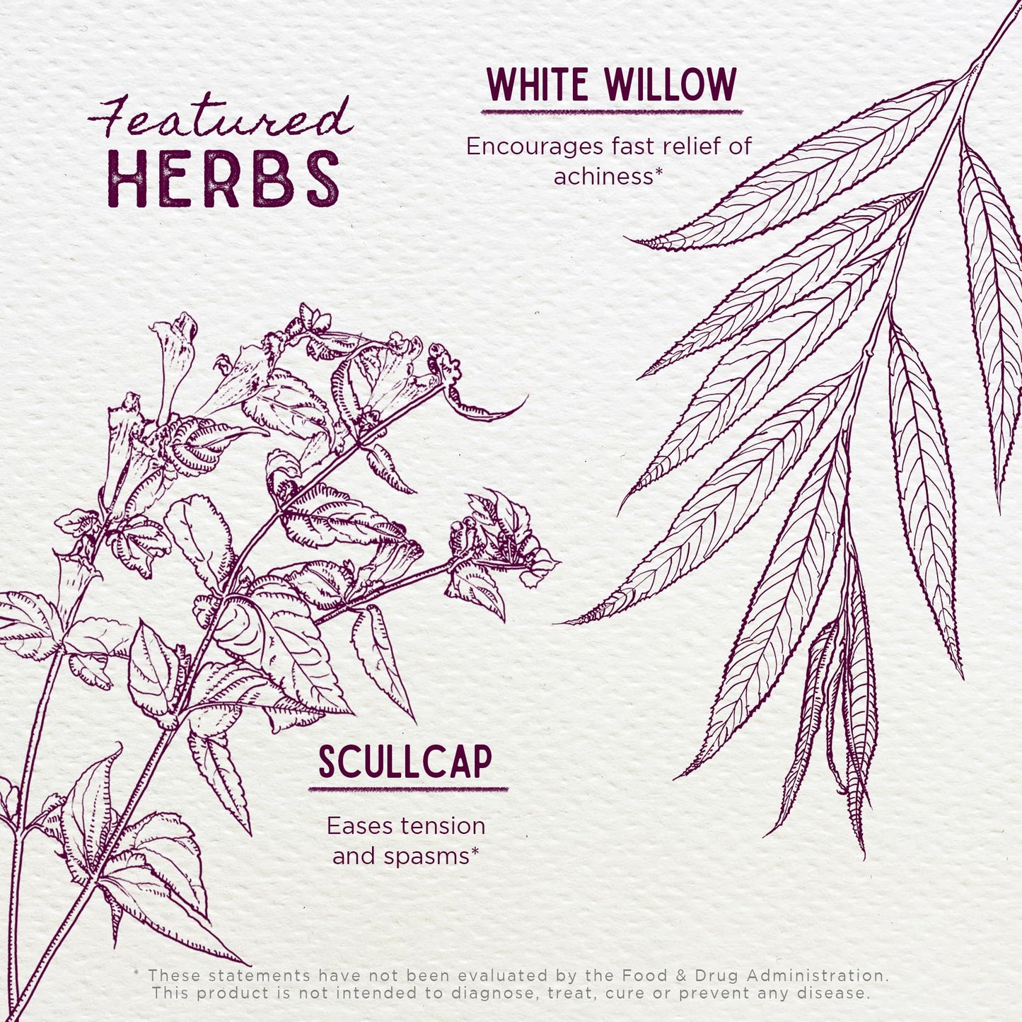 WishGarden Herbs Cranial Comfort - Plant-Based Herbal Supplement with White Willow Bark Extract, Lavender & Scullcap Supports Release of Head, Neck & Shoulders Tension, Stress & Muscle Tension, 4oz - dailyvitalstore