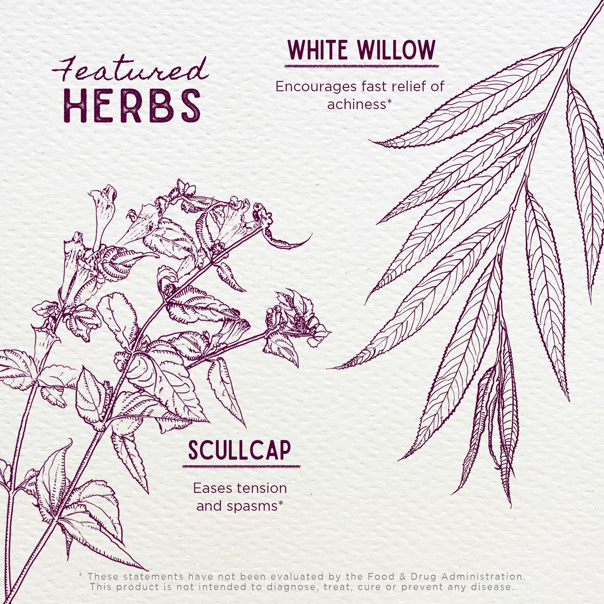 WishGarden Herbs Cranial Comfort - Plant-Based Herbal Supplement with White Willow Bark Extract, Lavender & Scullcap Supports Release of Head, Neck & Shoulders Tension, Stress & Muscle Tension, 4oz - dailyvitalstore